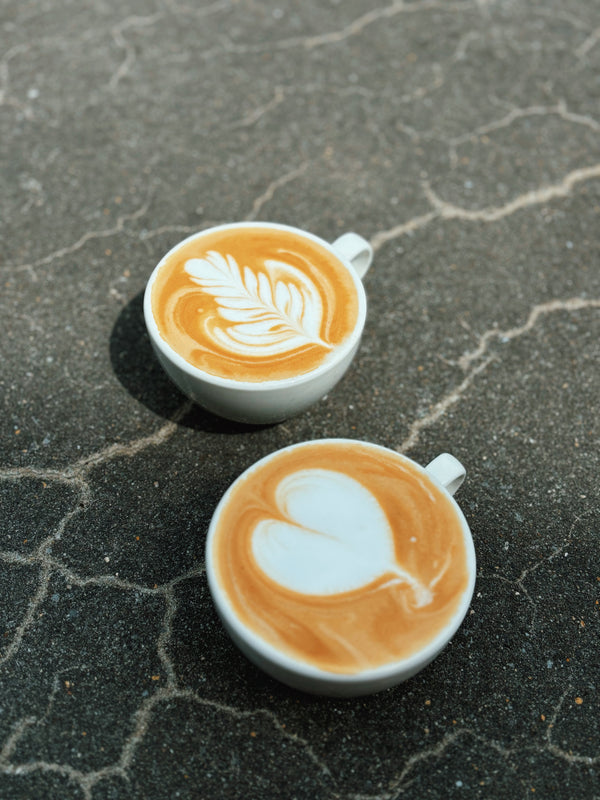 Latte Art-opleiding - Nederlands