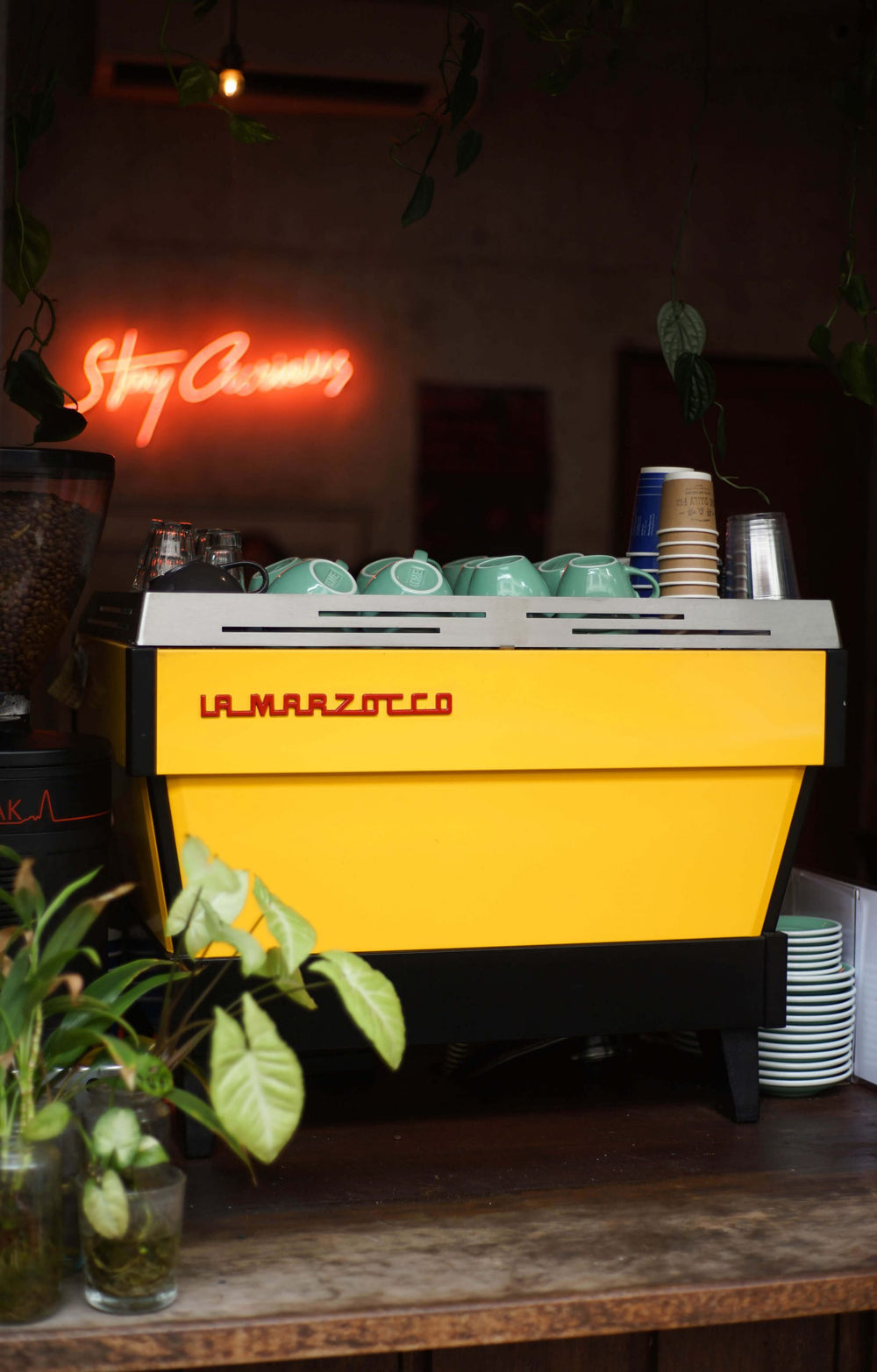 La Marzocco Linea PB AV 2 group yellow shop