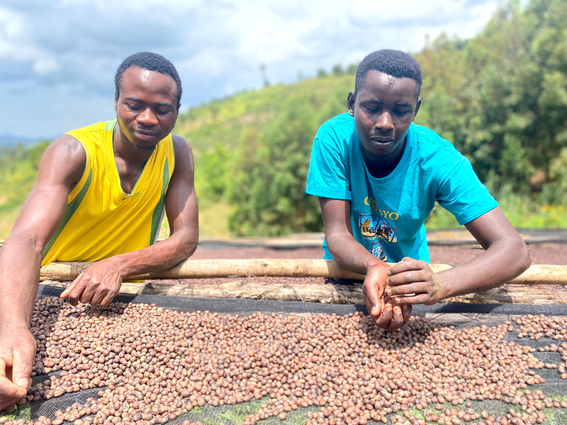 ALL ABOUT BURUNDI – Munkaze for Espresso