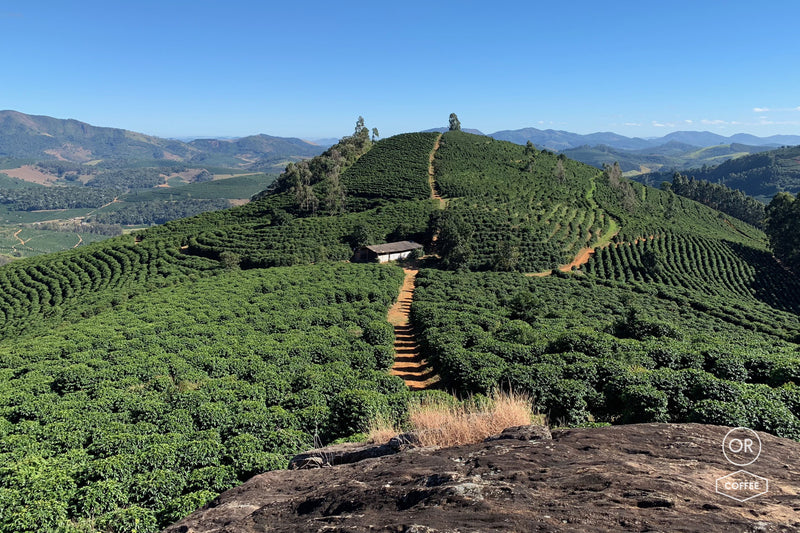 ALL ABOUT BRAZIL – Pedra Bonita for Espresso